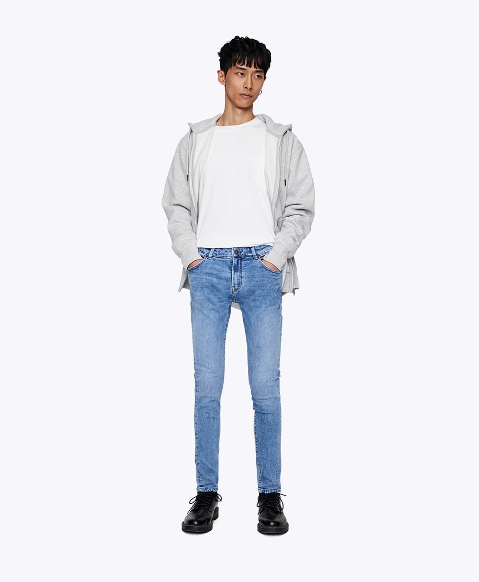 Home starlight succulent